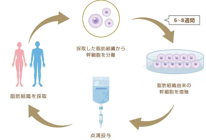 治療の流れ